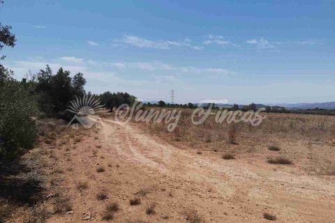 Terra a Biar, Alicante, Biar - € 125.000 | Ref: SF0426 - foto 5
